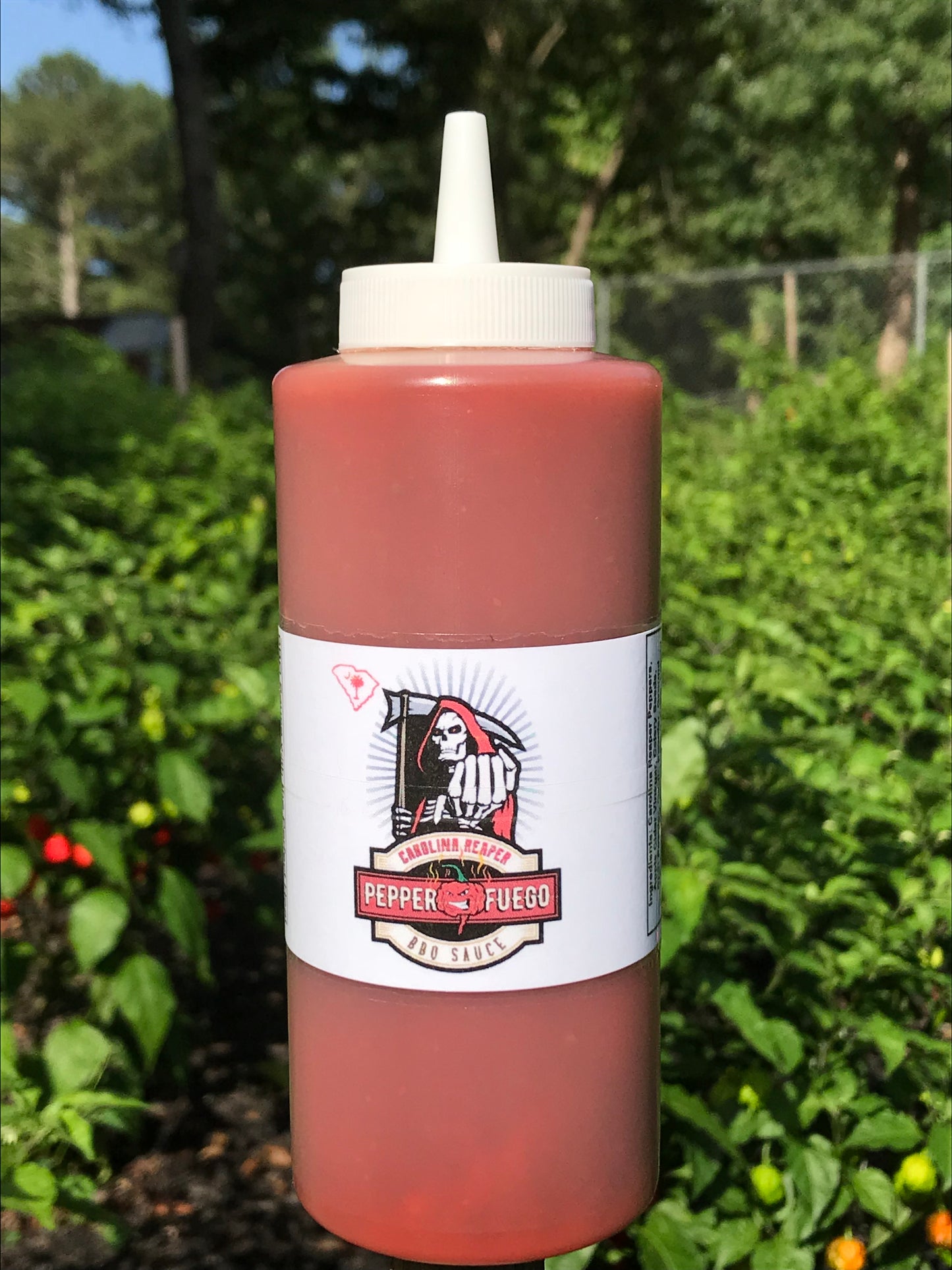 Carolina Reaper Hot Sauce - BBQ Sauce - Dry Rub Combo