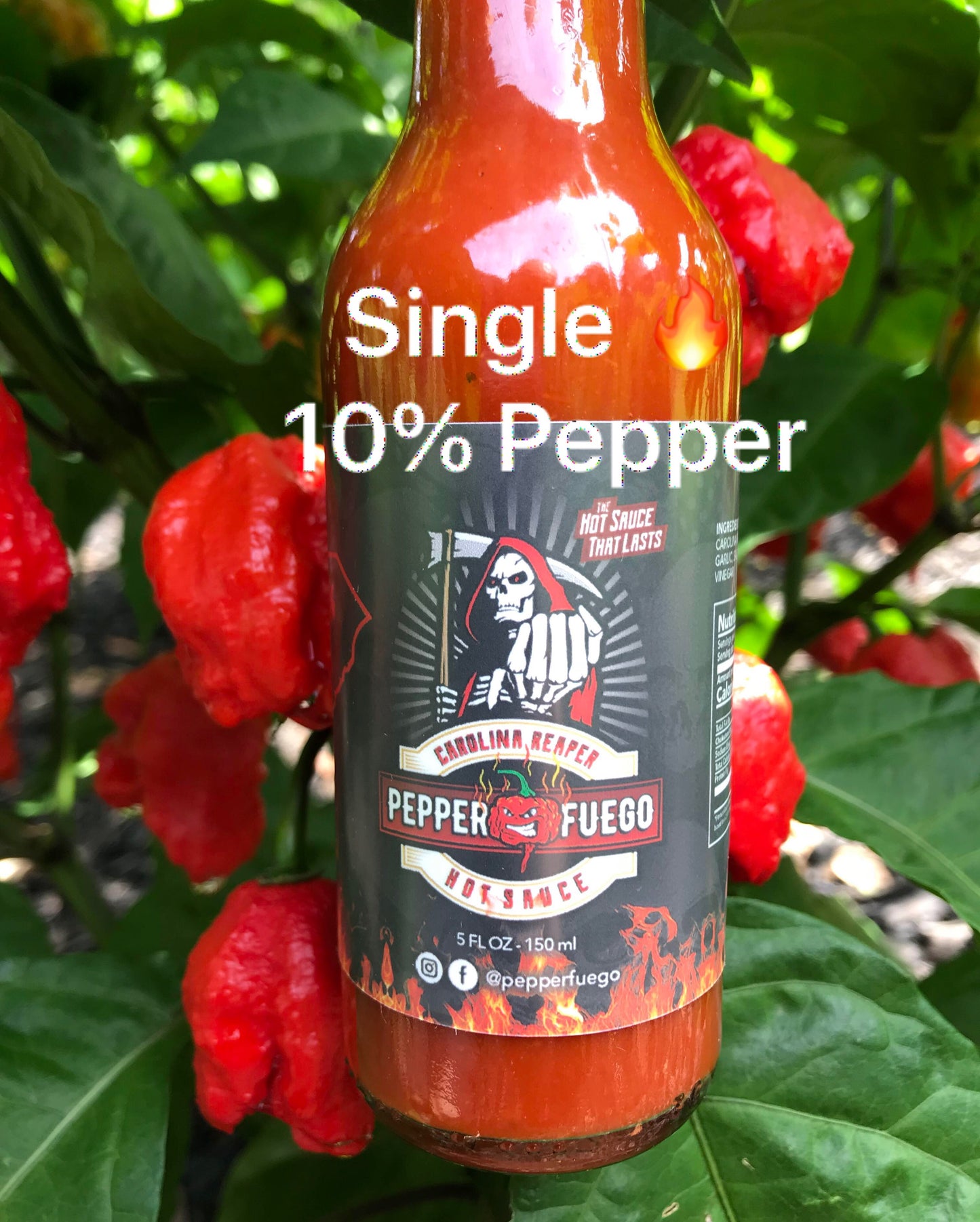 Carolina Reaper Hot Sauce – 10% Pure Carolina Reaper Pepper – Single Heat