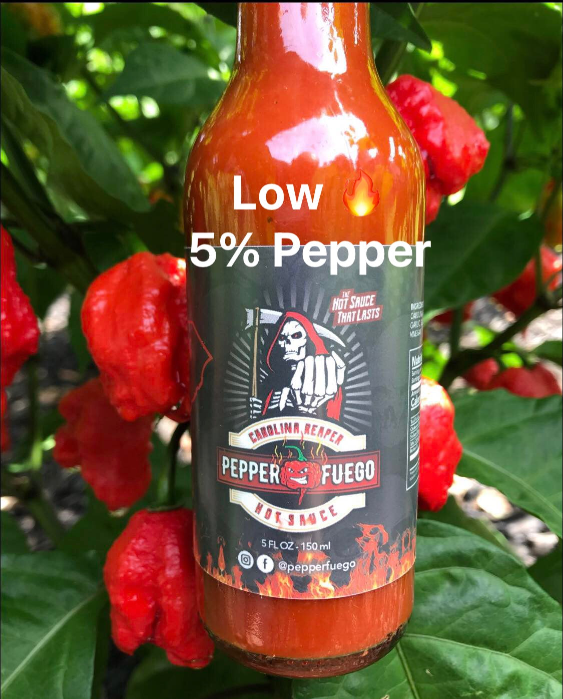 Carolina Reaper Hot Sauce –  5% Pure Carolina Reaper Pepper – Low Heat