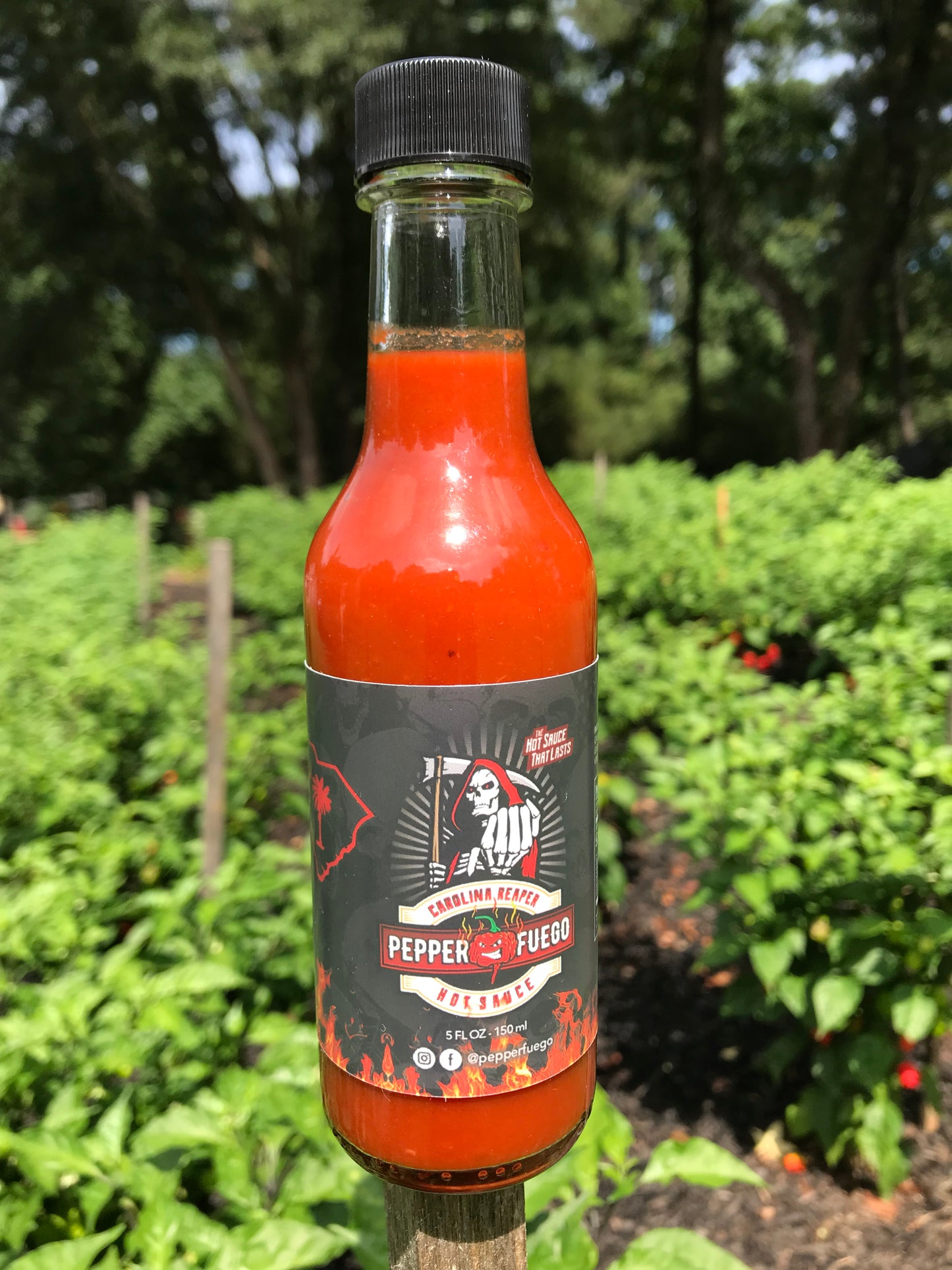 Carolina Reaper Hot Sauce Combo –  10%/20% Pure Carolina Reaper - Toe in the Pool