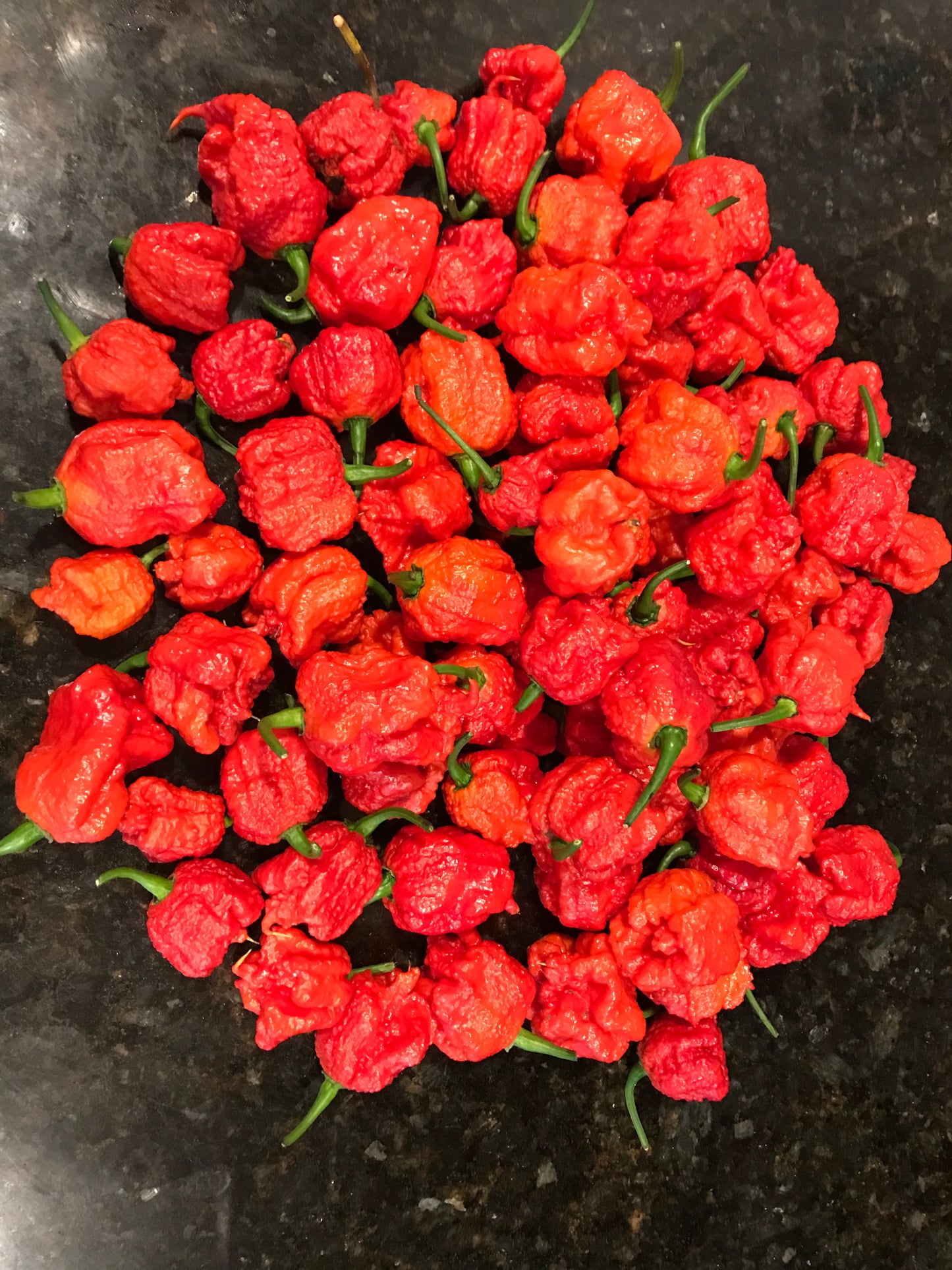 Carolina Reaper Hot Sauce Combo – 2.5%/10%/30%/50%/90% Pure Carolina Reaper – All Fuego